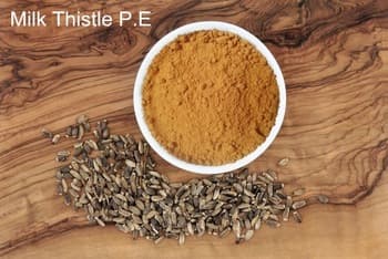 holy thistle extract powder for skin care